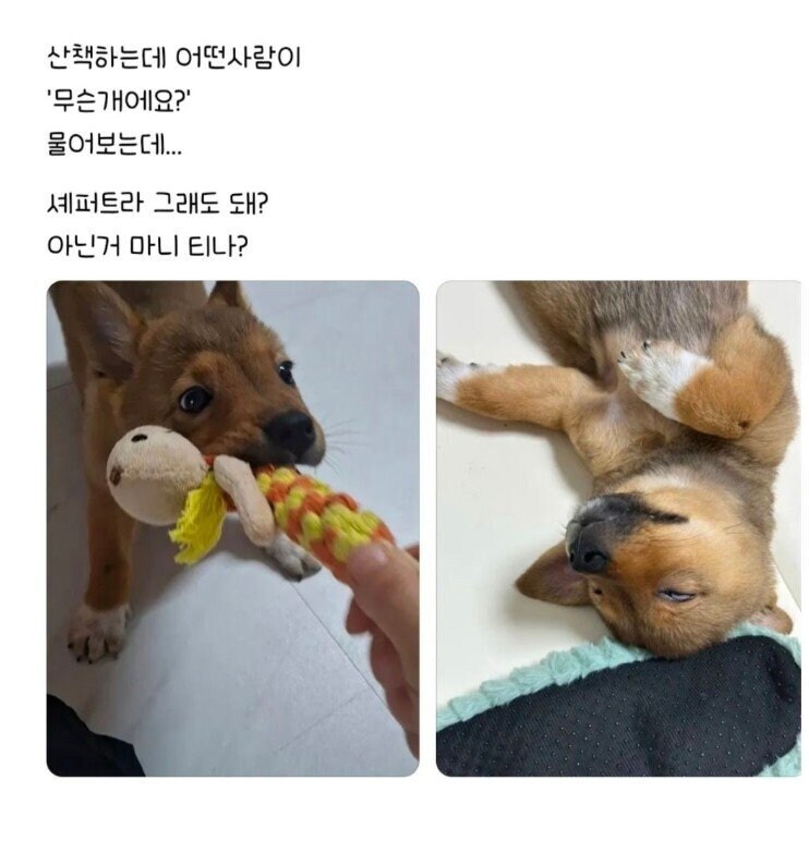 편