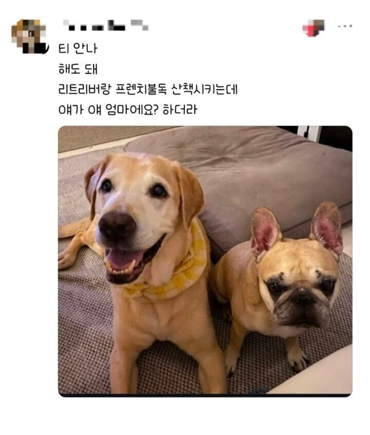 편