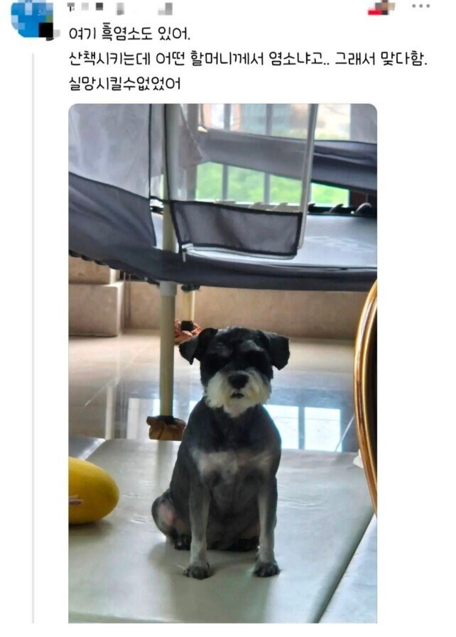 편