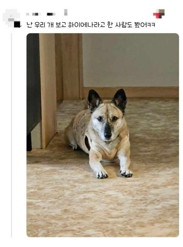 편