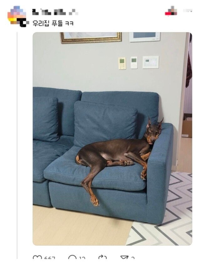 편