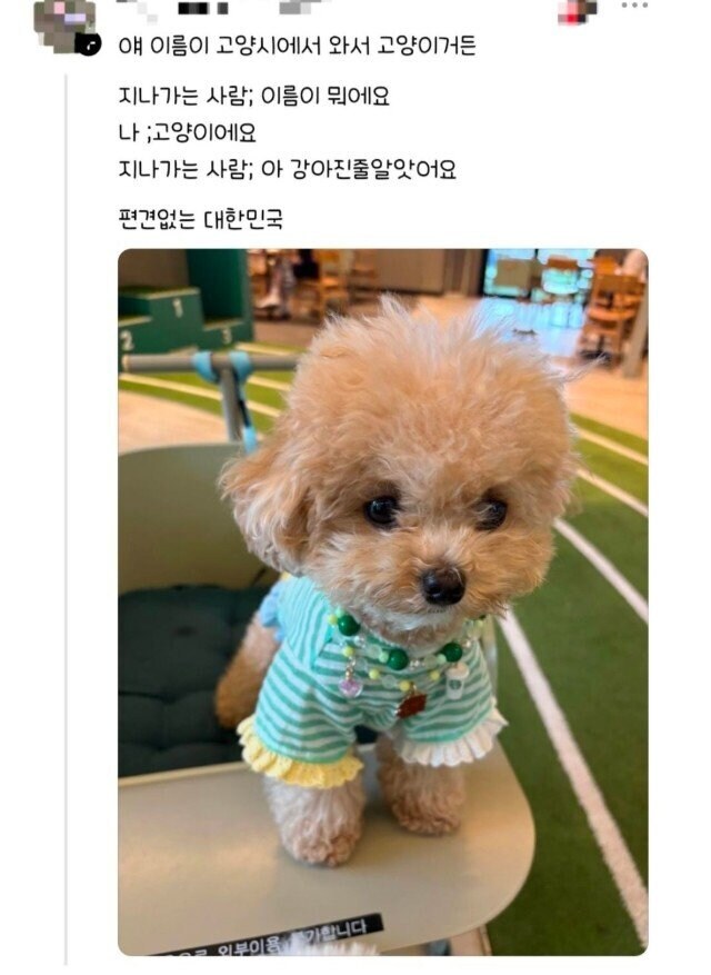 편