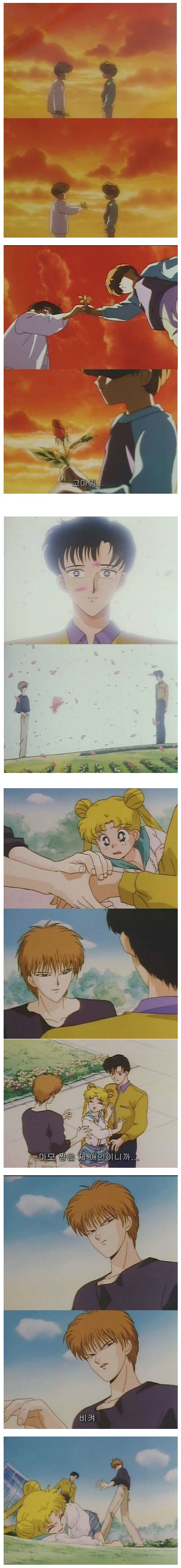 세일러 게이.jpg_1.png