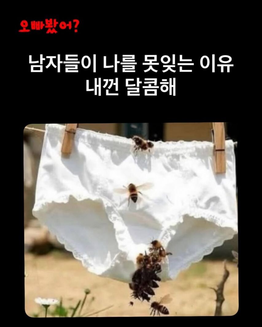 남자들이 날 잊지 못하는 이유_1.jpg