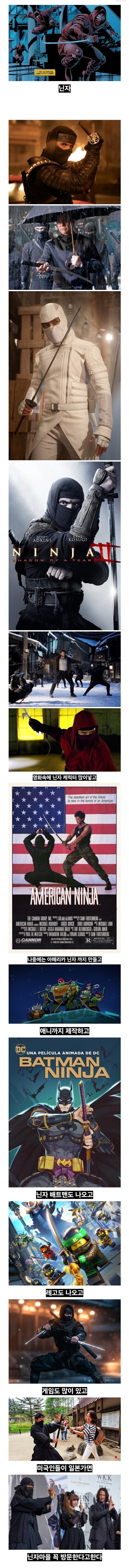 닌자만 나오면 껌뻑 죽는 미국 사람들.jpg_1.jpg