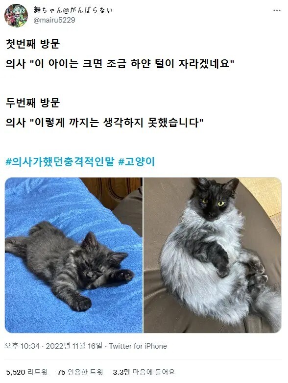 인상깊었던 의사와의 대화들_2.jpg