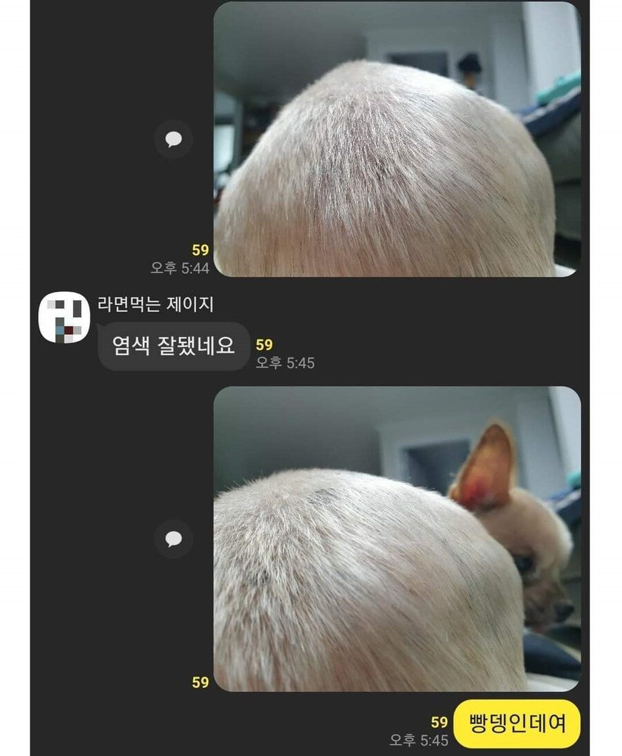 염색 잘나왔네여.img_1.jpg