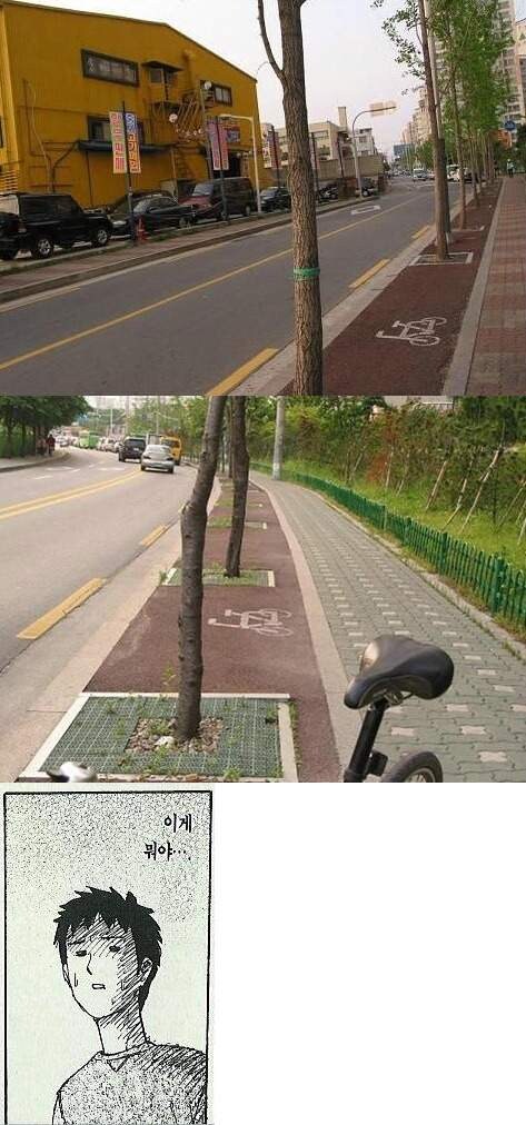 자전거 도로.jpg_1.jpg