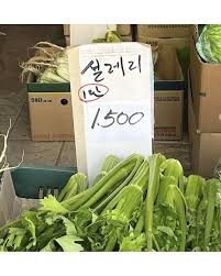 과일 사러 왔는데 복숭아가 너무 불쌍해요ㅠㅠ_2.jpg