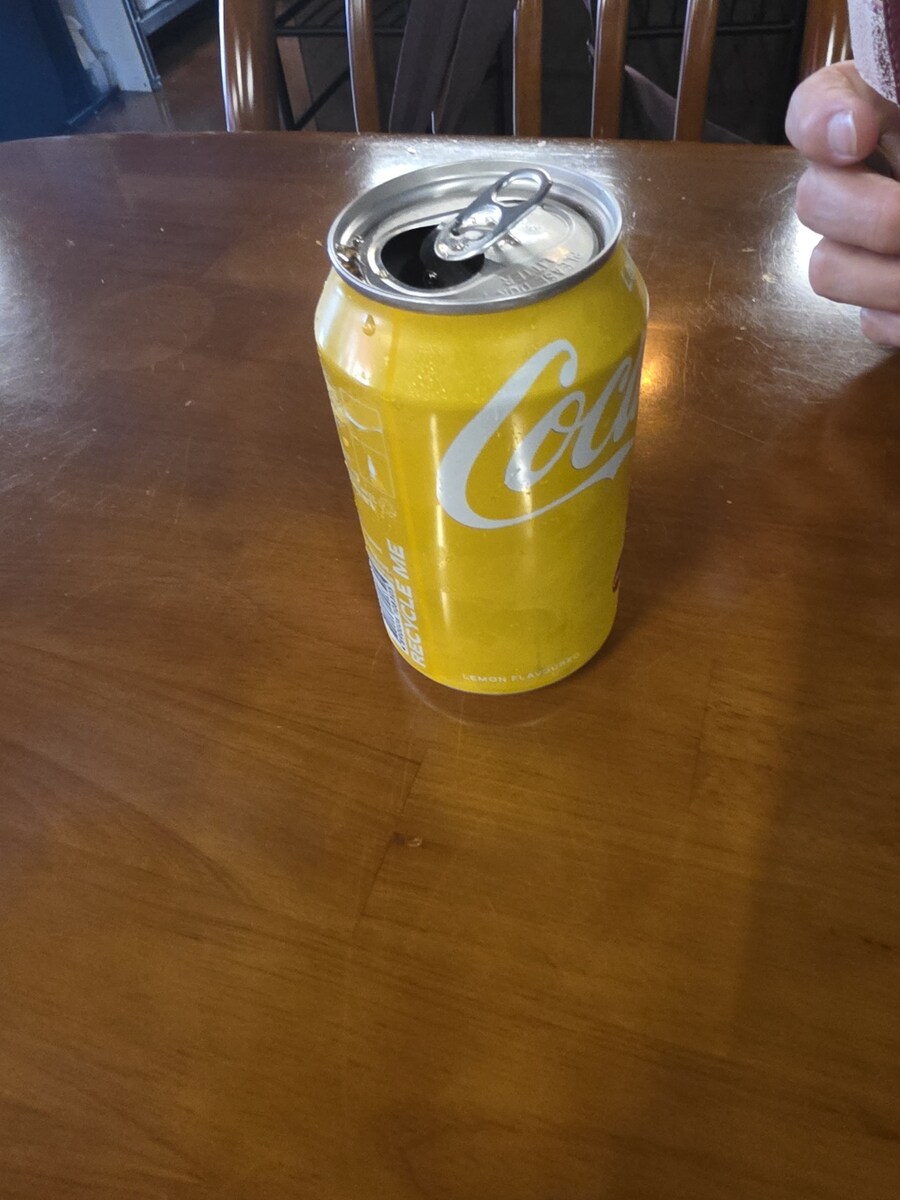 푸틴이랑 수제버거 샌드위치 존맛이네_2.jpg