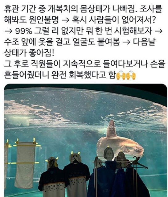 의외로 코로나 팬데믹 시절 개복치도 걸렸던 병.jpg_1.jpg