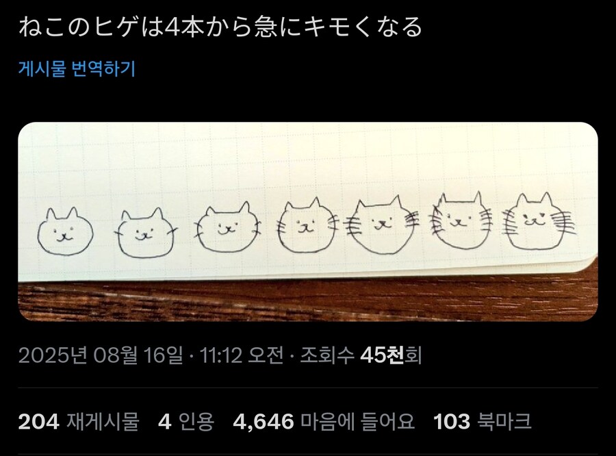 고양이 일러 특_1.jpg