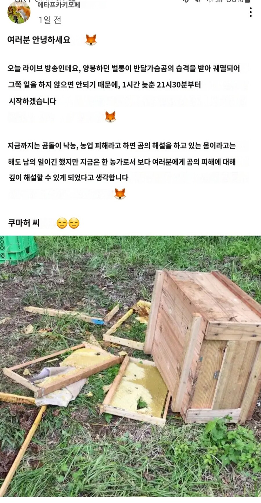 홋카이도에서 양봉하는 일본 유튜버가 라이브시간을 연기한 이유_1.jpg