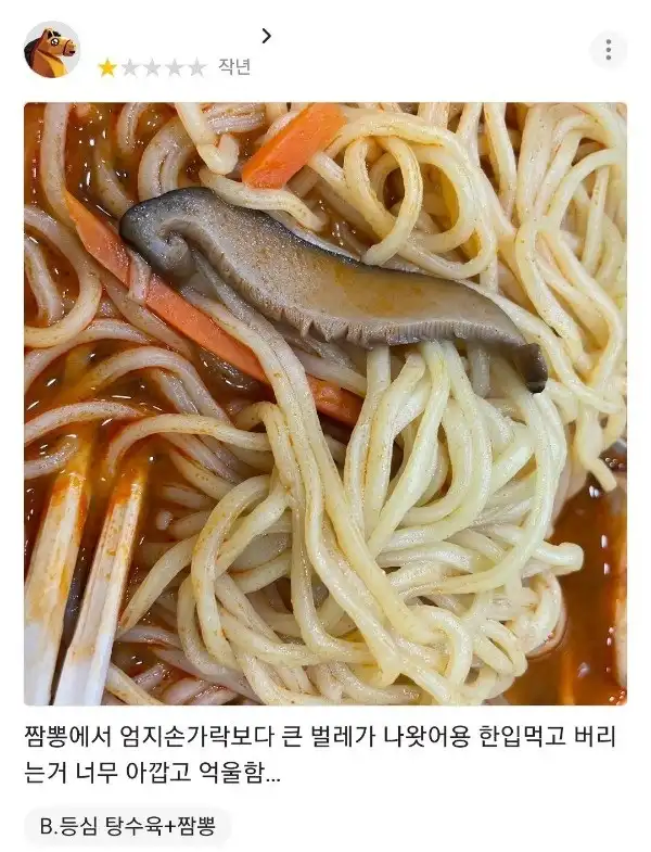 짬뽕에서 엄지손가락보다 큰 벌레가 나왓어용_1.webp