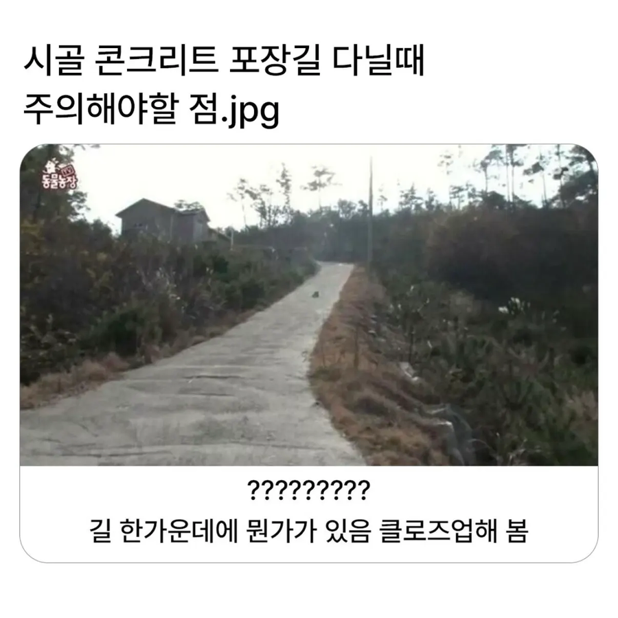 미확인 지상 물체_1.webp