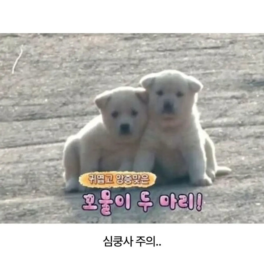 미확인 지상 물체_4.webp