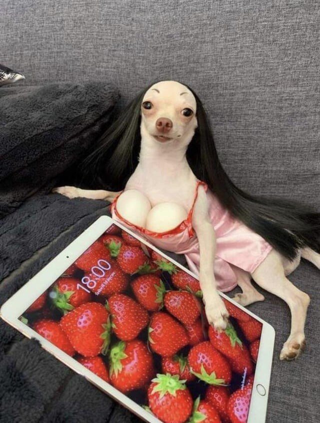 개같은 장발 거유_1.jpg