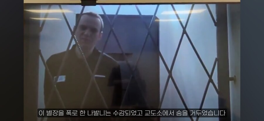 전문가,