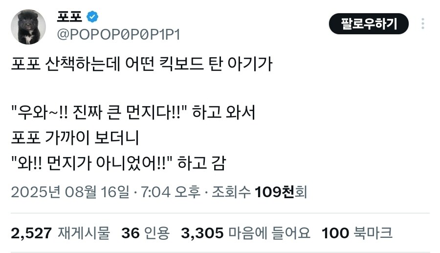 와 진짜 큰 먼지다_1.jpg