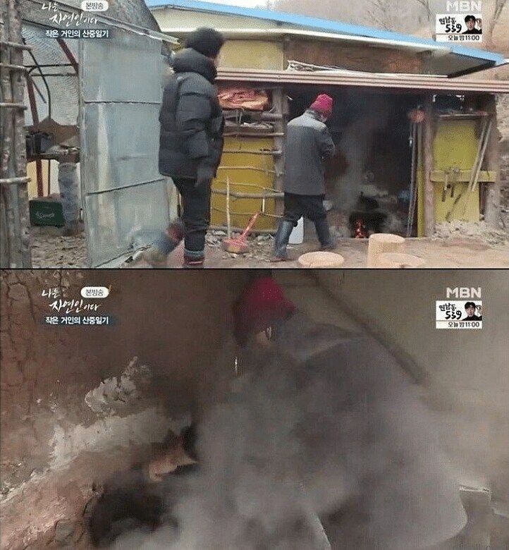 고양이 산 채로 끓는 물에 넣는 사람 jpg._2.jpg