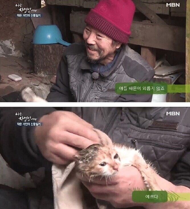 고양이 산 채로 끓는 물에 넣는 사람 jpg._5.jpg
