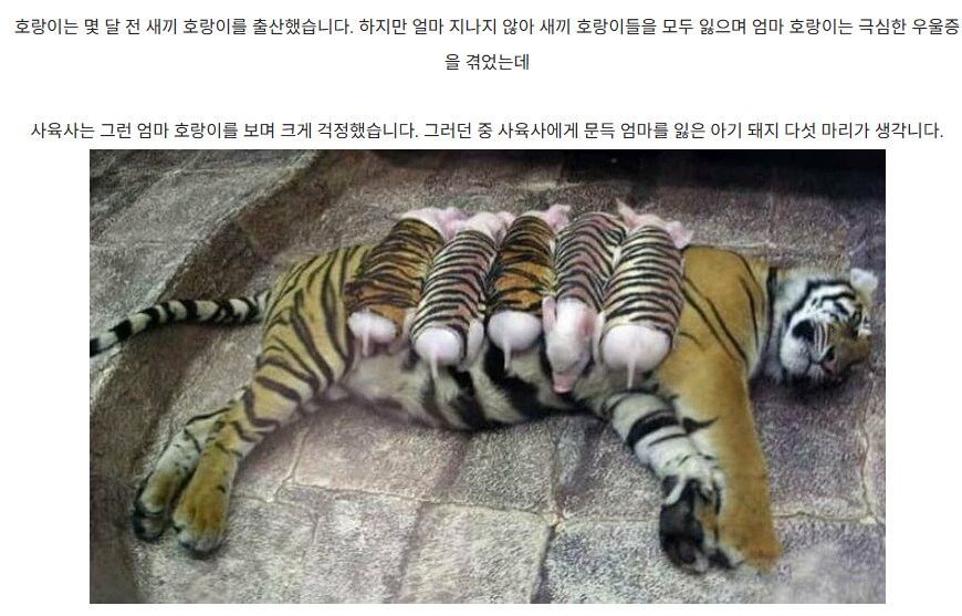 상식을 뒤엎는 부모 자식 관계.jpg_1.png