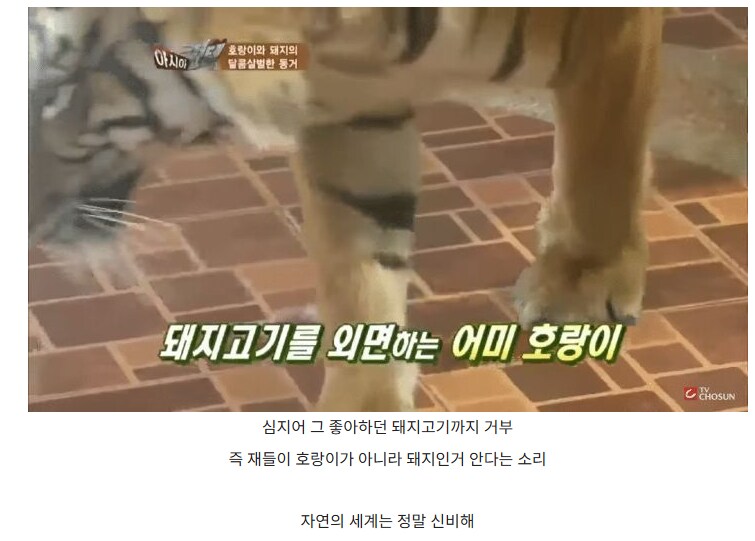 상식을 뒤엎는 부모 자식 관계.jpg_5.png
