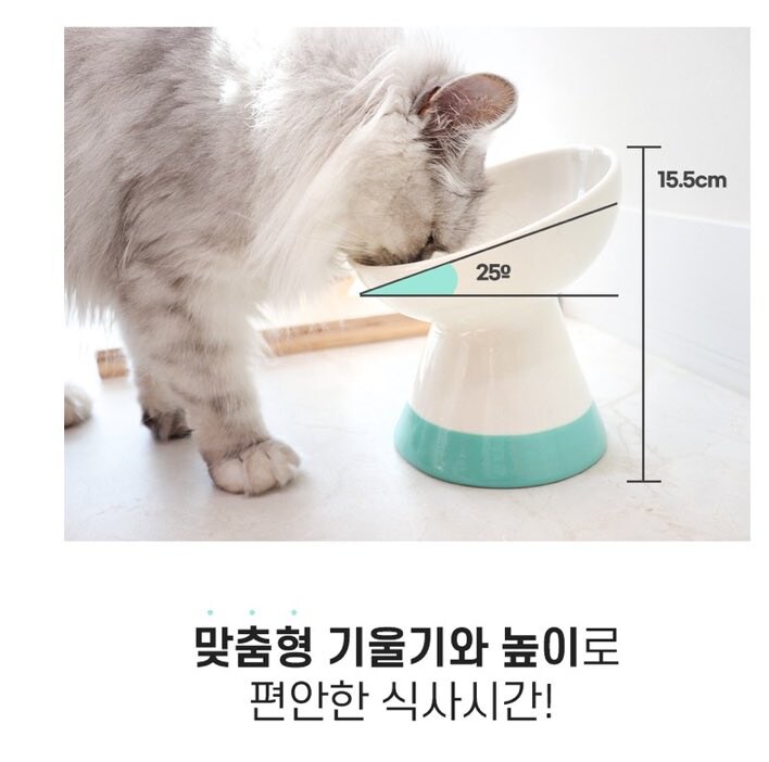 고양이 편하라고 사온 기울어진 그릇_1.jpg