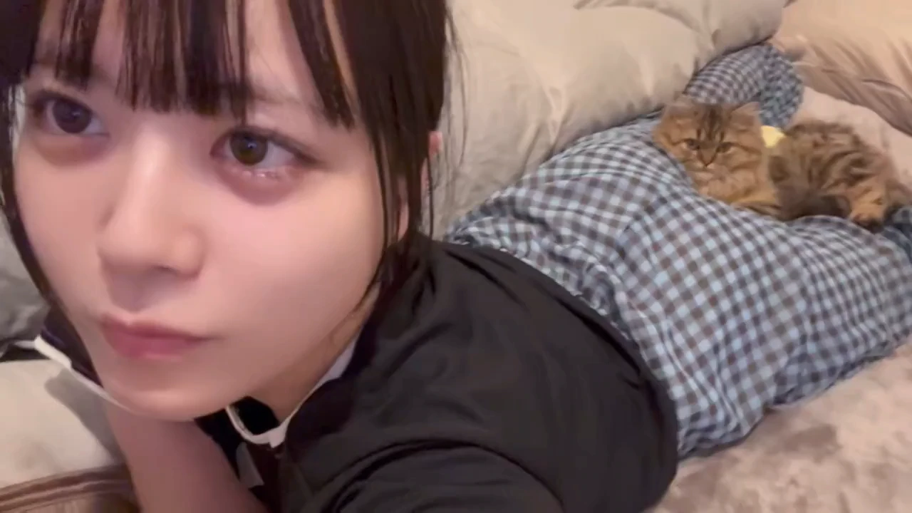 열도의 고양이 gif_2.webp