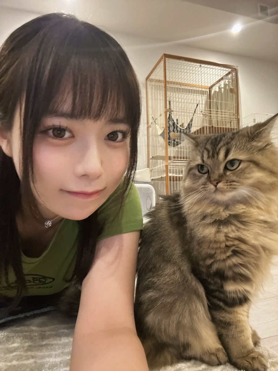 열도의 고양이 gif_1.jpg
