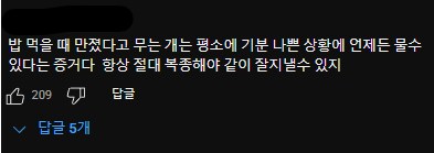밥먹고 있는 중에 건드리자 주인 물어버리는 개_3.png