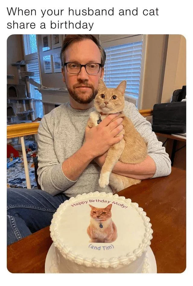 남편하고 고양이가 생일이 같을때_1.webp
