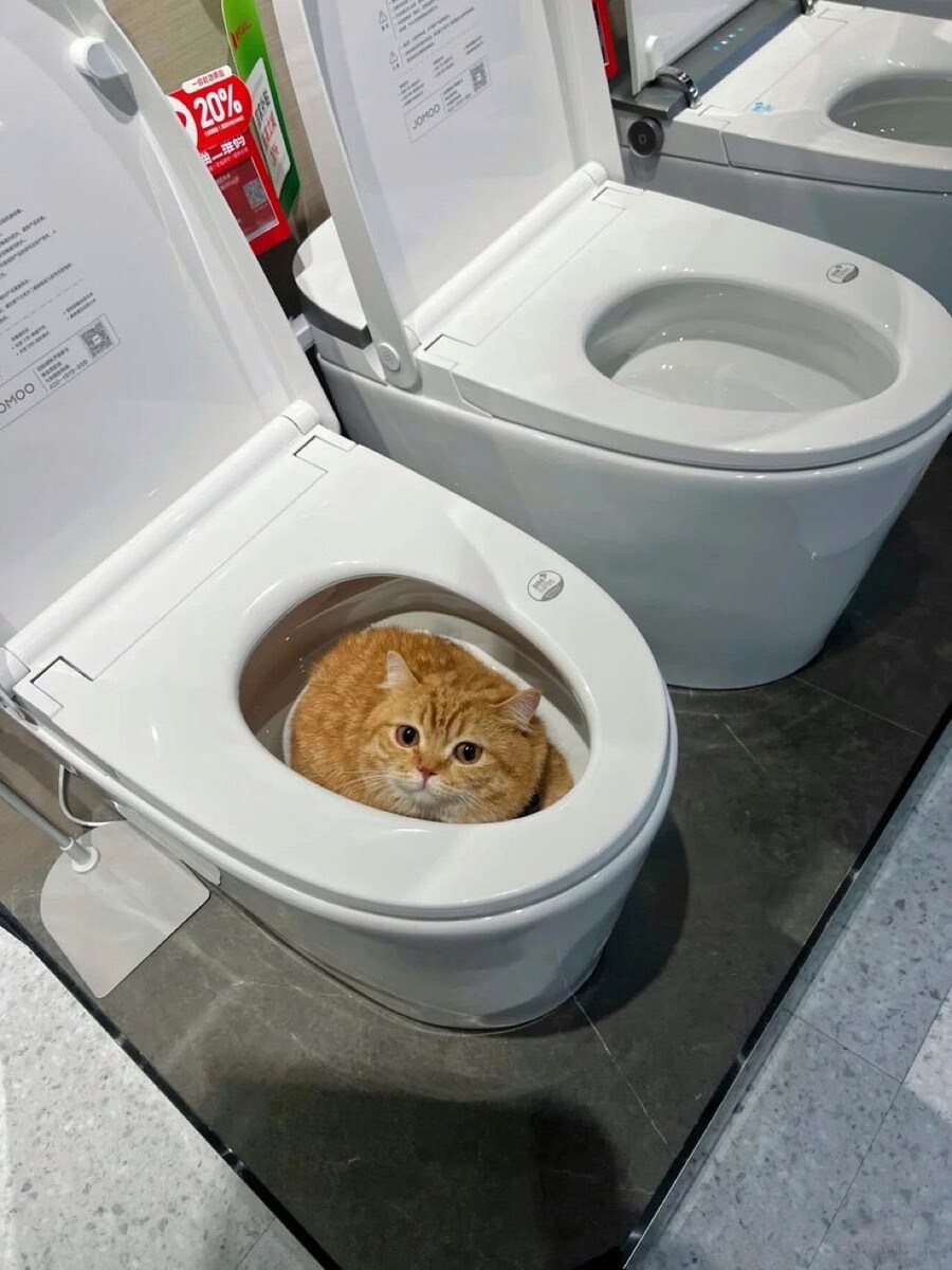 변기 황금색똥 있음_1.jpg