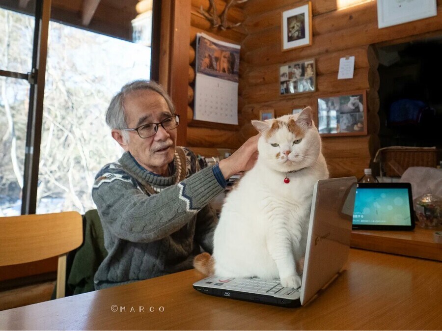 만지지마라냥_1.jpg