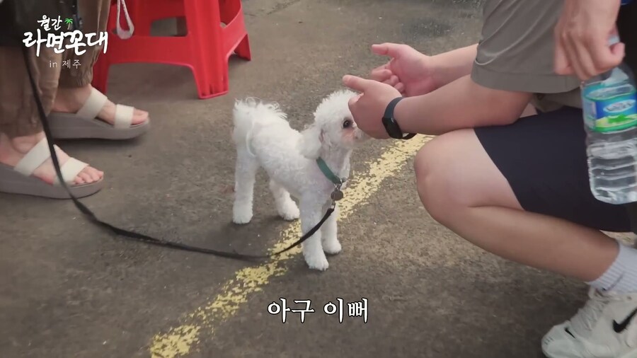 멍멍이를 좋아하는 윤남노 쉐프와 김풍 옾 카페 소식_2.jpg