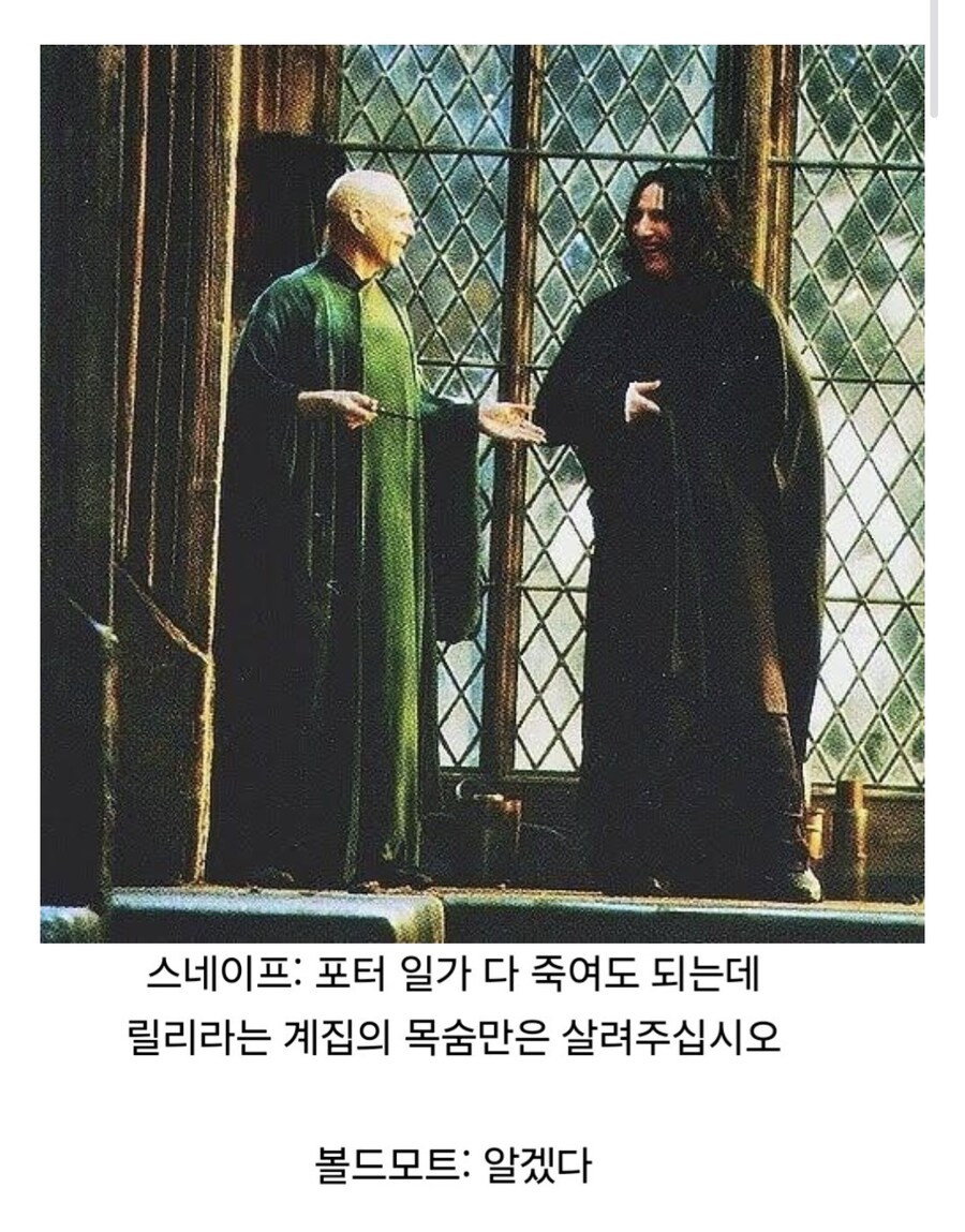 볼드모트는 스네이프와의 약속을 지킬 생각이 없었다.jpg_1.jpg