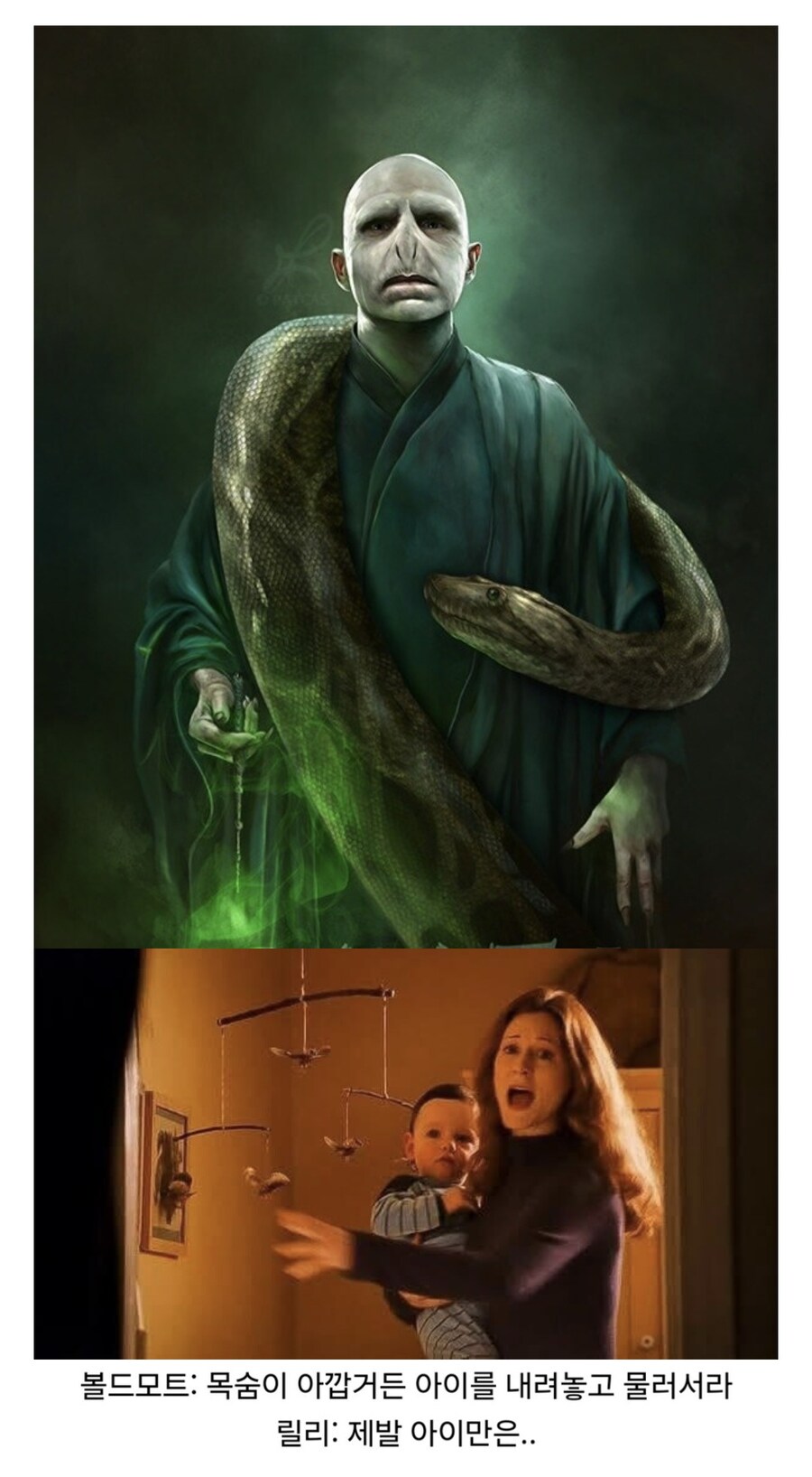 볼드모트는 스네이프와의 약속을 지킬 생각이 없었다.jpg_2.jpg