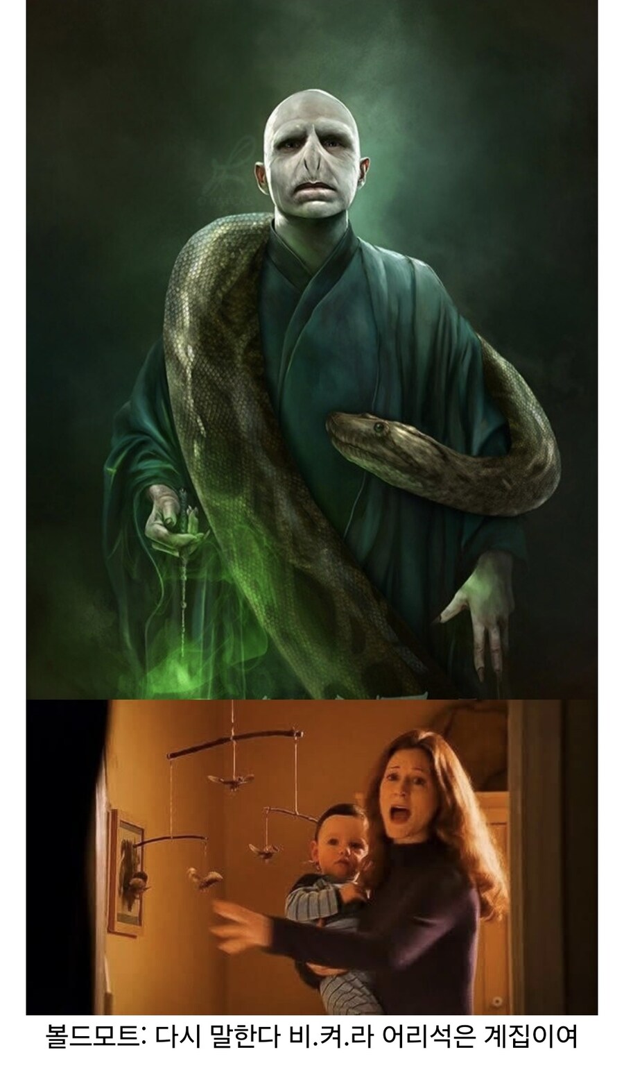 볼드모트는 스네이프와의 약속을 지킬 생각이 없었다.jpg_3.jpg