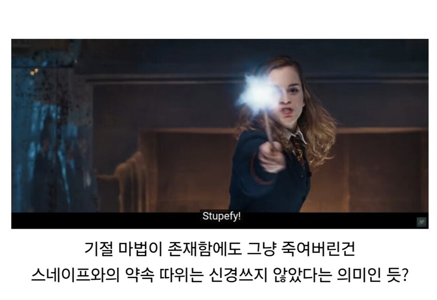 볼드모트는 스네이프와의 약속을 지킬 생각이 없었다.jpg_5.jpg