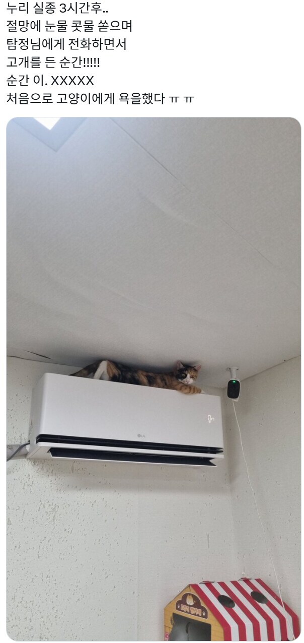 처음으로 고양이에게 욕함!_1.jpg