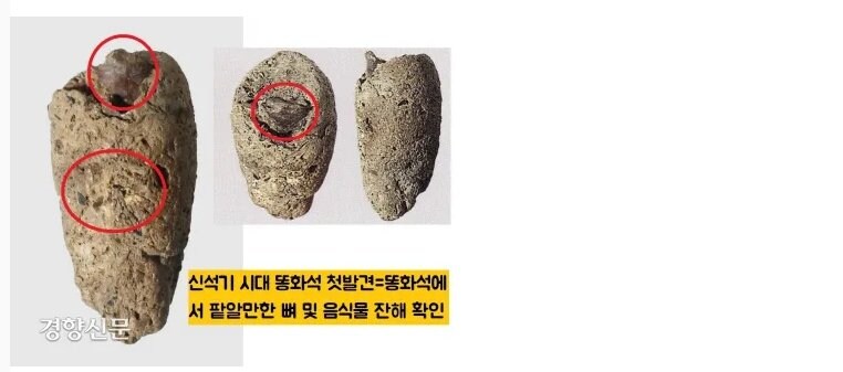 우리나라에서 가장 오래된 똥_1.jpg