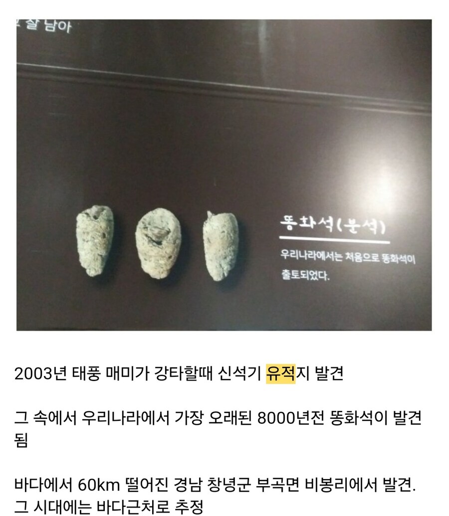 우리나라에서 가장 오래된 똥_2.jpg