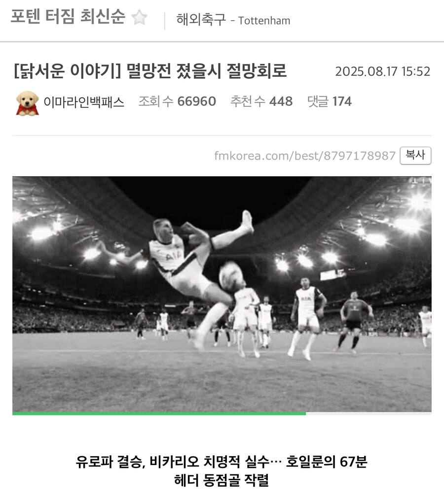 토트넘이 유로파리그 우승 못한 세계선.jpg_1.jpg