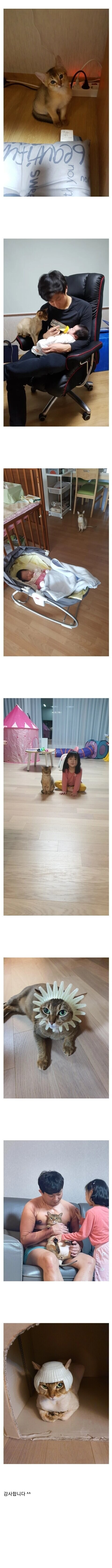 딸과 함께자란 고양이_1.jpg