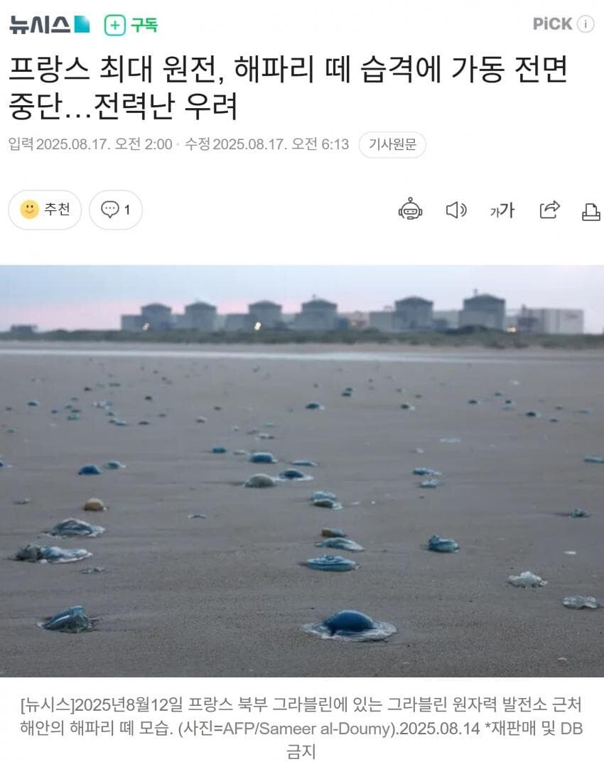 해파리가 공포의 대상인 이유_1.jpg