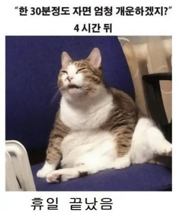 눈물눈물 휴일에 낮잠자면 안되는 이유_1.jpg