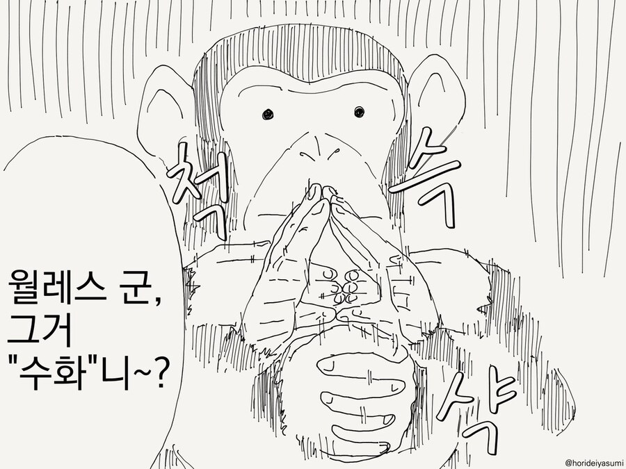 천재 침팬지 월레스군 manhaw_2.jpg