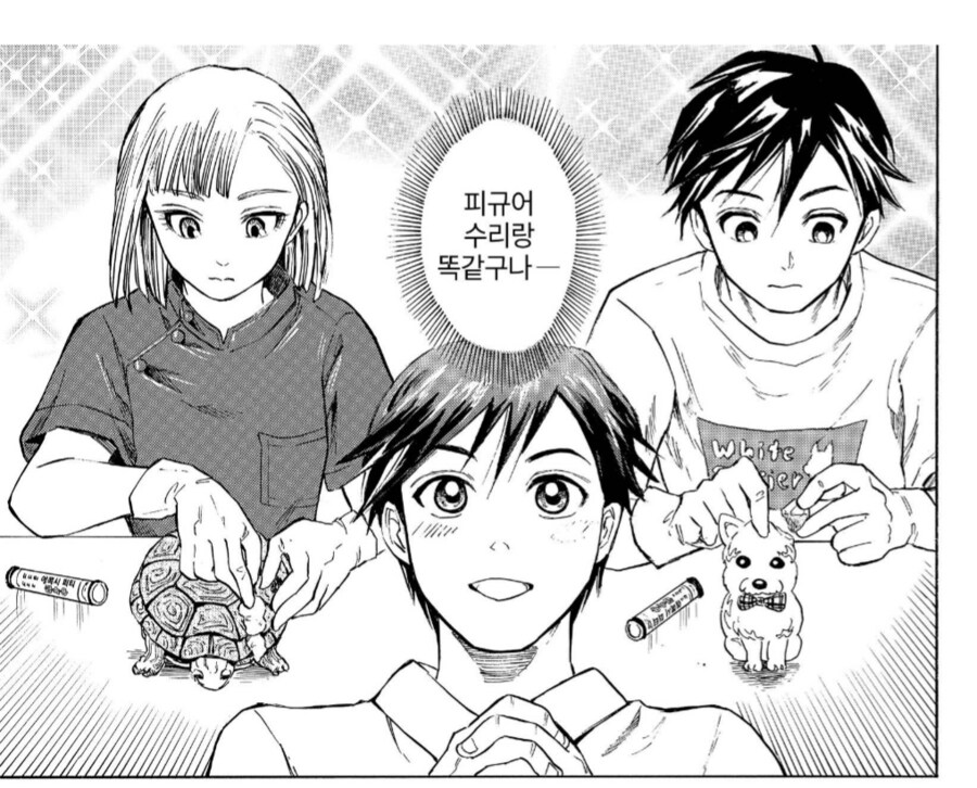 등껍질 박살난 거북이 수리하는 방법_6.png