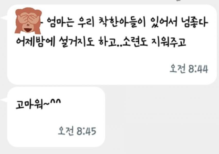 엄마에게 착한 아들.jpg_1.jpg