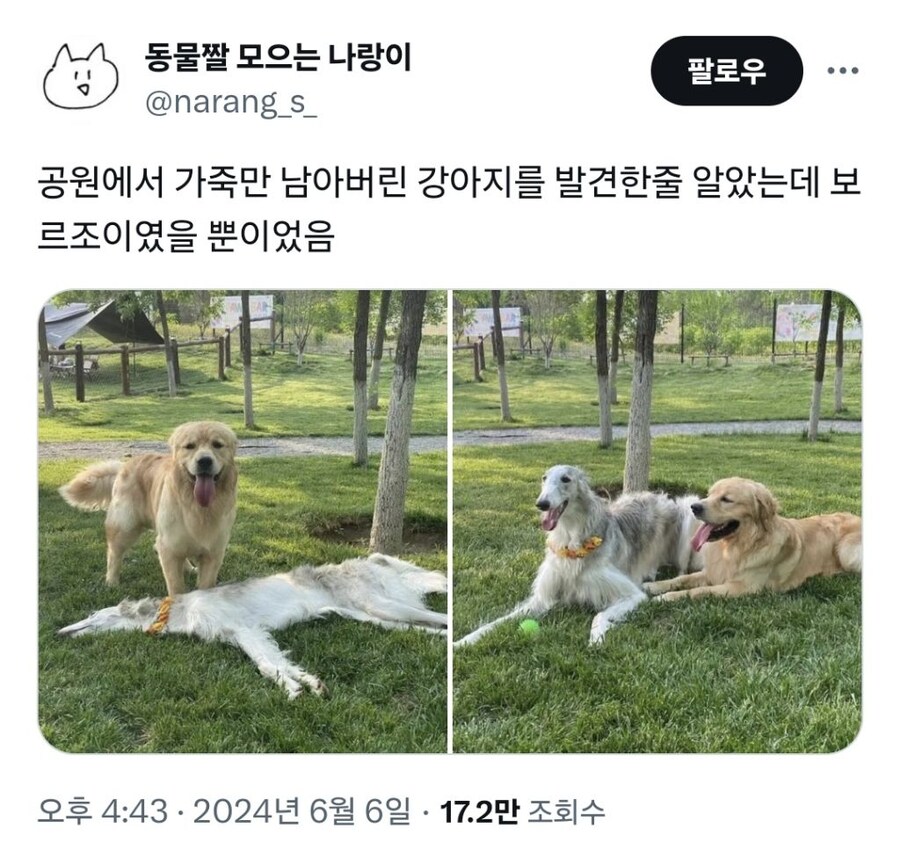 나 이거 삼체에서 봤어.jpg_1.jpg